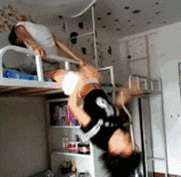 |搞笑GIF:据说看不懂的都是纯洁的好孩子