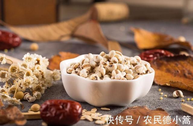 薏苡仁粥|晚餐不吃会饿,吃了又怕长胖,若想减肥瘦身,以下5种食物可多吃