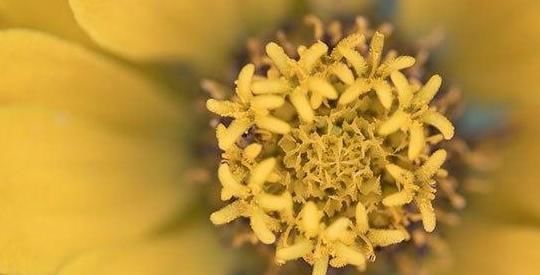 体验|女人绝经是一种什么样的体验有很多不便,也有一个好处让人害羞