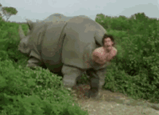 角马|蝙蝠竟然会倒立生孩子,这些生娃瞬间看得我肚子疼