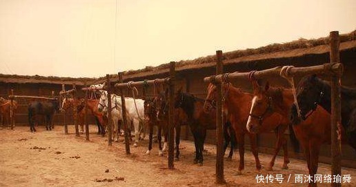 别人|孙悟空为啥最讨厌别人叫他“弼马温”?因为之前的弼马温是“她”