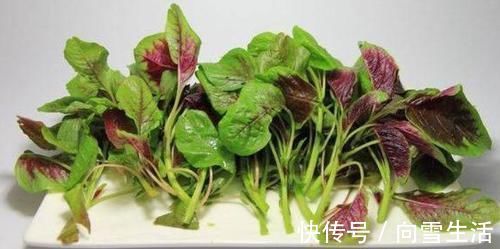 含有|人想長壽全靠吃，以下食物換著吃，清熱解毒，減脂輕身，更健康！