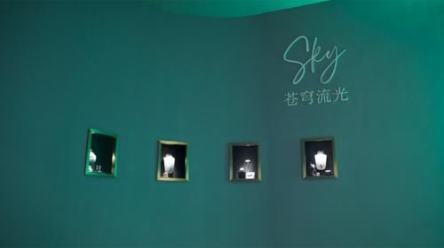 Tiffany 家最大的钻石，好闪！