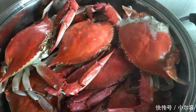 螃蟹|蒸螃蟹时,加葱加姜都不对!多加这2步,螃蟹不流黄不断腿,香