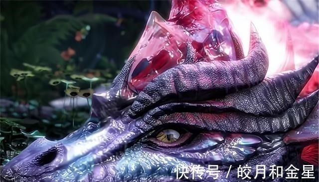 生物|斗罗大陆的生物都很弱水漫金山,十万年以上的魂兽才能做到