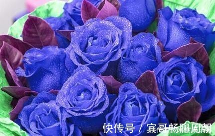 在家中养护花卉，就选择花色梦幻的花卉，妖娆优雅，非常的漂亮