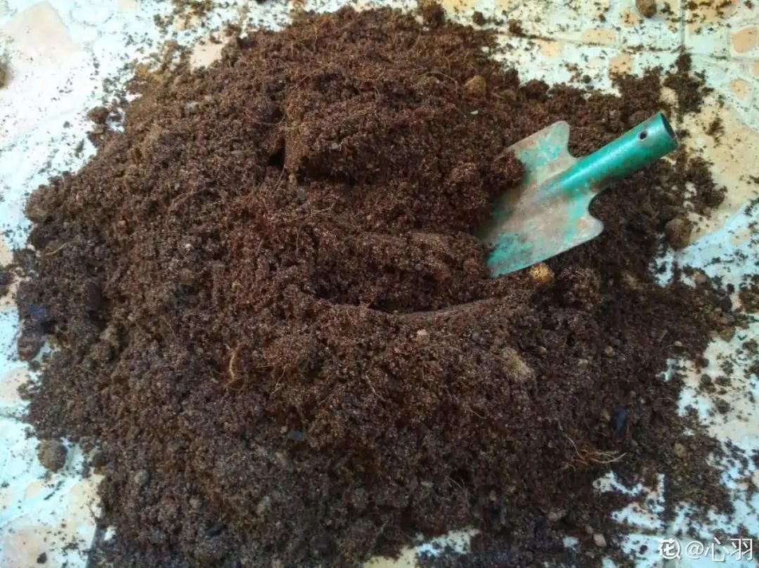 最好用的养花肥,盆里撒一把,1年不用换盆了