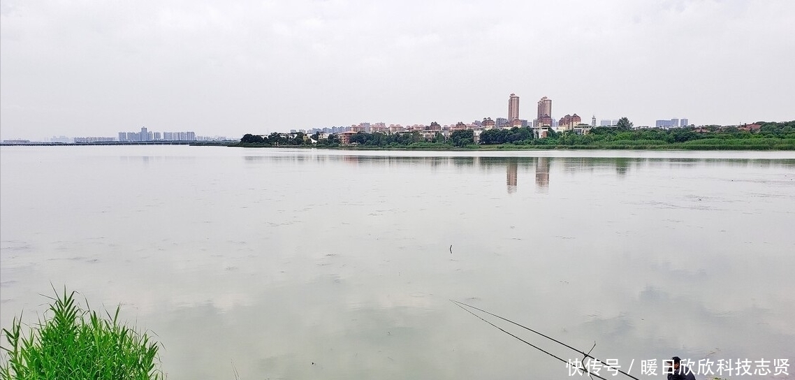 鱼饵|肥水鱼怎么钓？瘦水鱼又怎么钓？关键不在于饵料