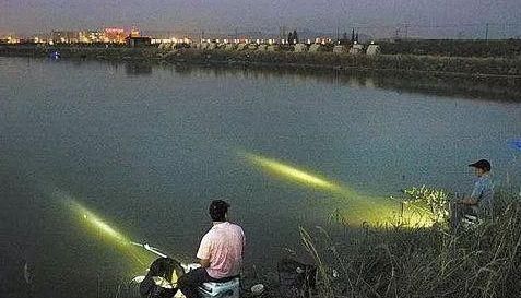 夜钓鲤鱼，真的不用吹，这套钓法最管用，大鲤鱼接连入护