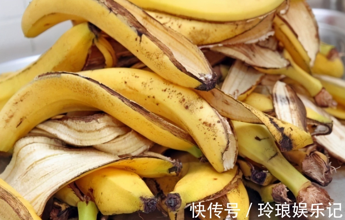 水溶肥|告诉大家一个秘密:香蕉皮养花,有很多大众不知道的用法哦!