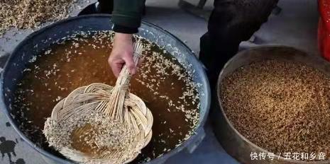  面粉|全家齐上阵，捞麦子磨白面