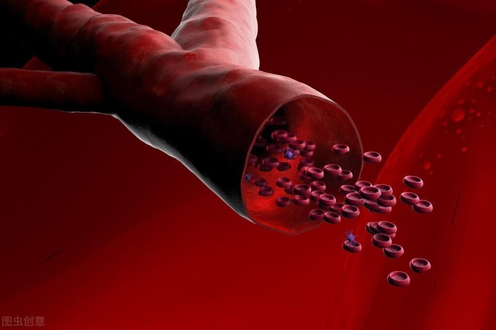 血脂异常|103岁老人,年轻像50岁,长寿秘诀不是多运动,而是这3件事