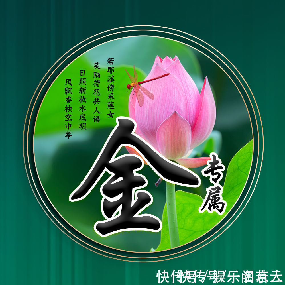 世人大!用你的姓氏当头像,20张唯美荷花大气图片,中国风华丽登场