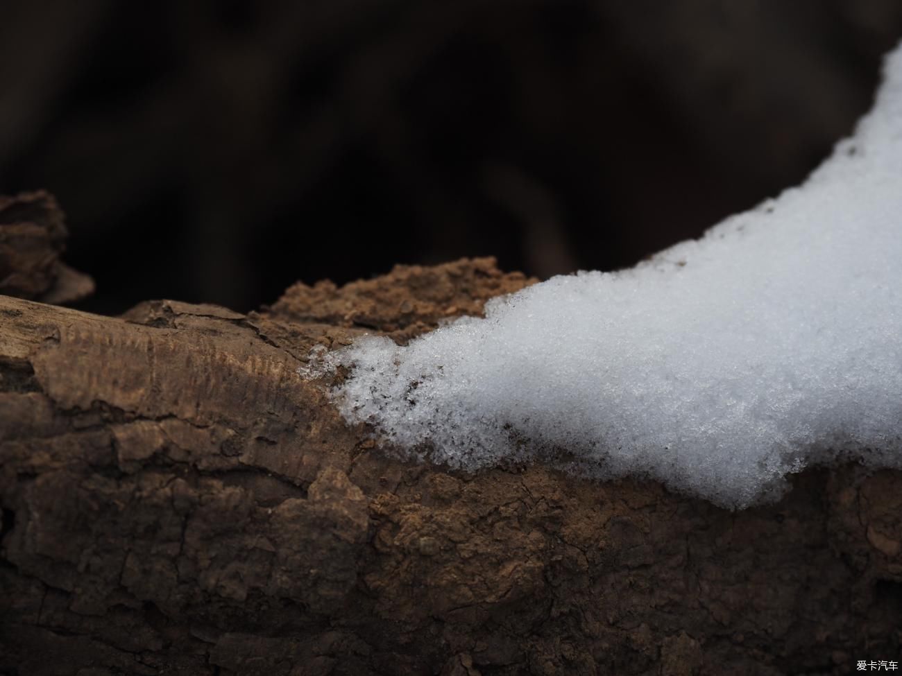 入画|山中观残雪