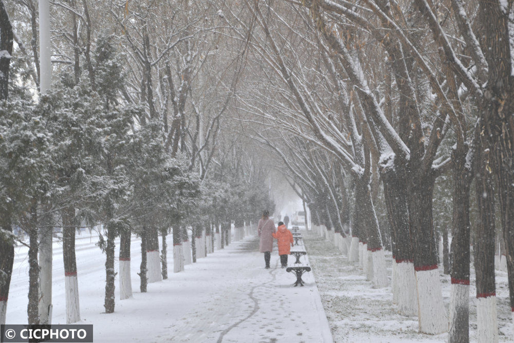 边境|初冬时节雪纷纷