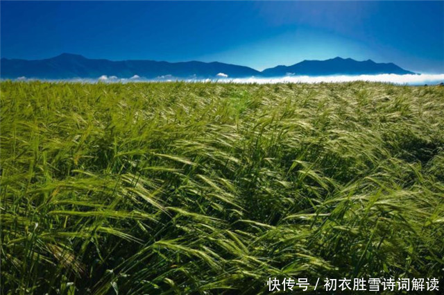 古诗词&古诗词中九首青青夏色:山青青,水青青,垂杨鸥不惊