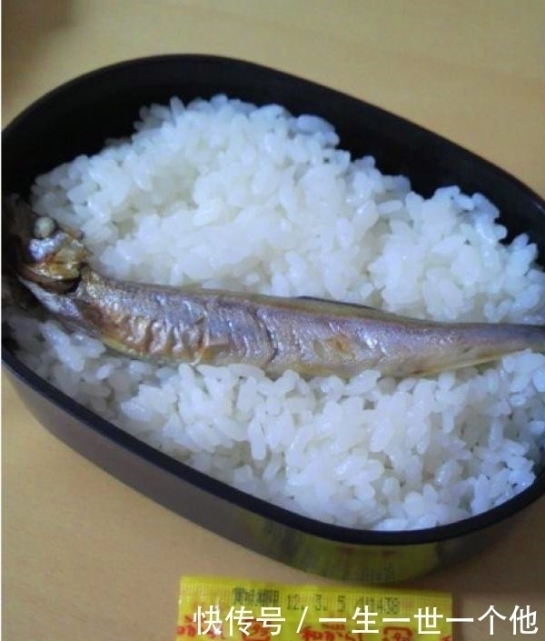 老妈|当日本孩子揭开自己的便当盒,其父母深深的恶意扑面而来