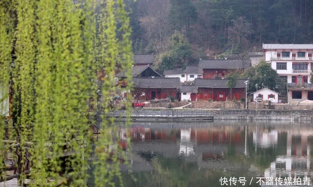 中年|春暖花开游贵州，“花花世界”惹人醉！