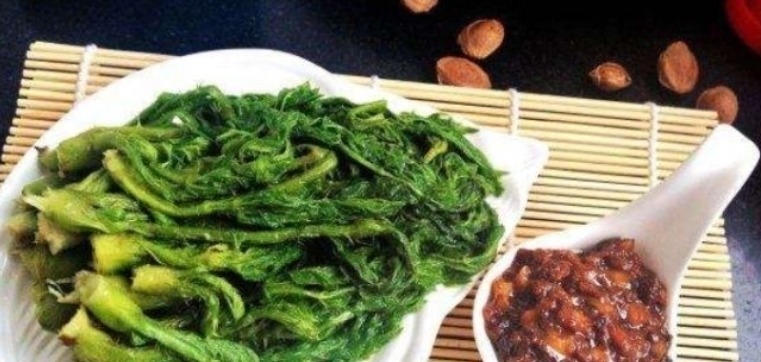 营养|乡下一种新出刺芽,价值珍贵,人称刺人参,营养价值丰富