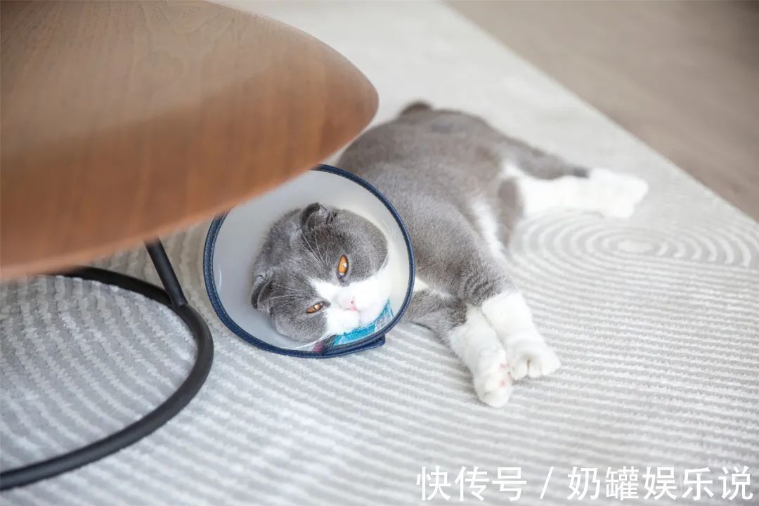 简约|112㎡现代简约，干净、简洁、舒适，让生活更加惬意