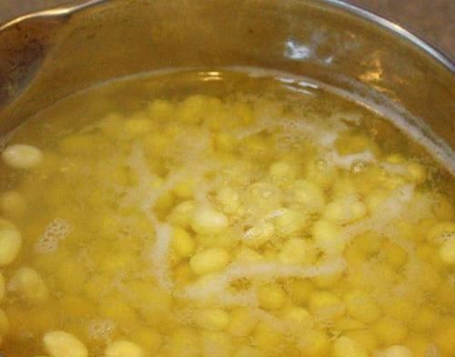  蚯蚓粪|绿萝叶子小、长得稀稀拉拉，用上3种水，叶绿枝壮，一个月长爆盆