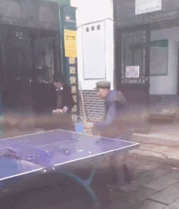 |搞笑GIF:女朋友很漂亮 就是脑子有点不好使