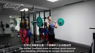 肌头|手臂太细怎么练掌握这3点，“肱三头轰炸”练出麒麟臂