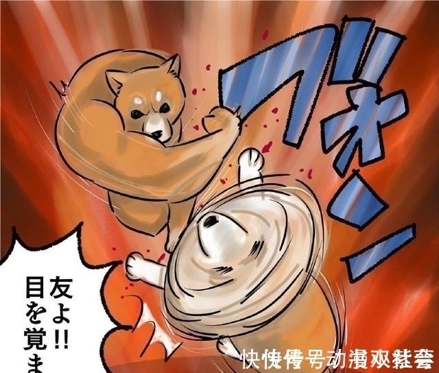 大佬|网友吐槽见到只螺旋猫,画师大佬帮他画了出来