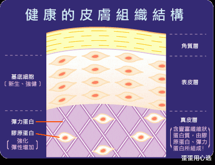 美妆博主 水、乳、霜、精华正确的护肤步骤！涂错了不仅“无效”还“伤脸”