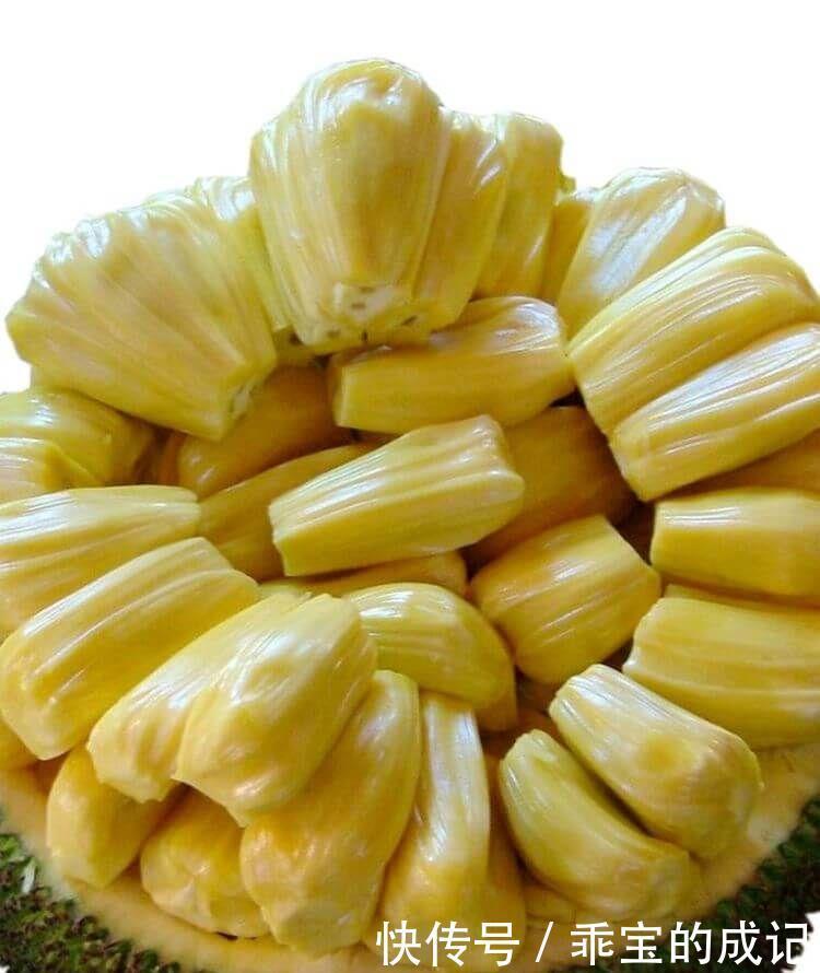 黑木耳|湿气较重的季节,多吃3种食物,改善睡眠滋养皮肤早吃早受益