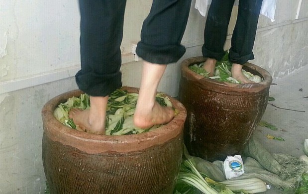 亚硝酸盐|腌菜吃多了会致癌做好这三件事,就可以放心大胆的吃!