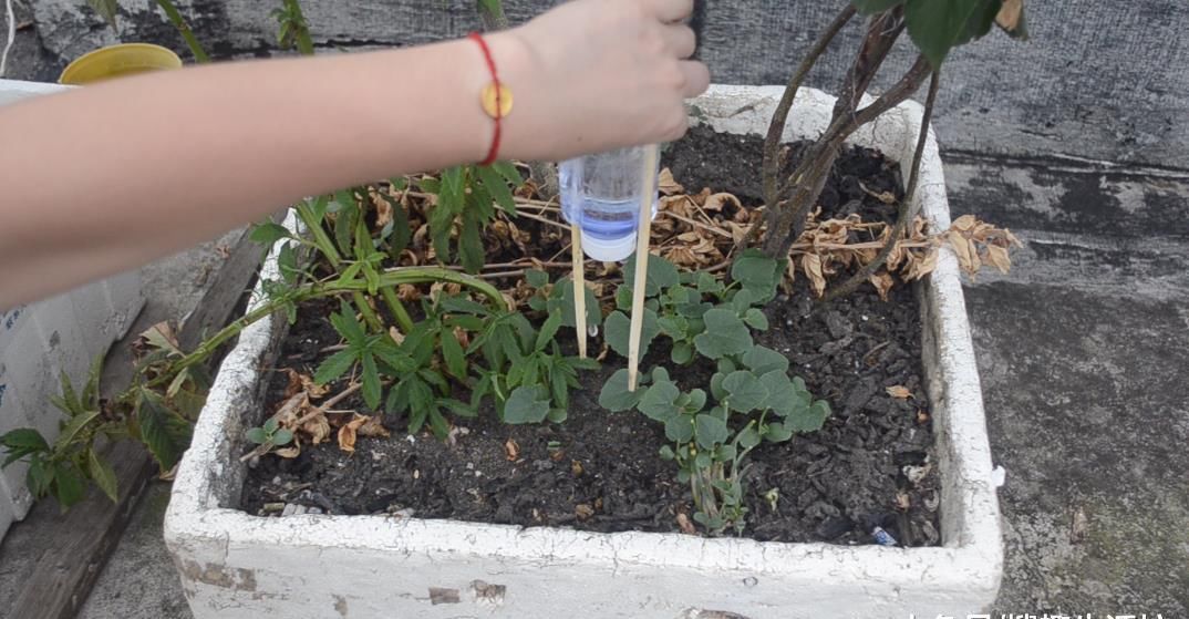 塑料瓶上绑2根筷子, 这个作用太棒了, 解决了很多家庭的烦恼