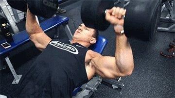 肩胛骨|3个动作锻炼上胸肌群，让你的上胸变得饱满起来