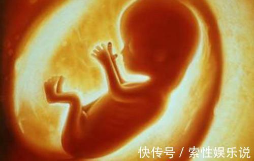 子宫|胎儿在子宫内,怎么吃喝拉撒睡6个有趣的胎儿小知识,涨见识!