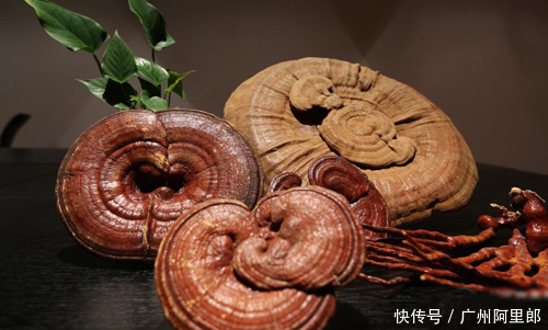 头发|#脱发救星#让头皮说话