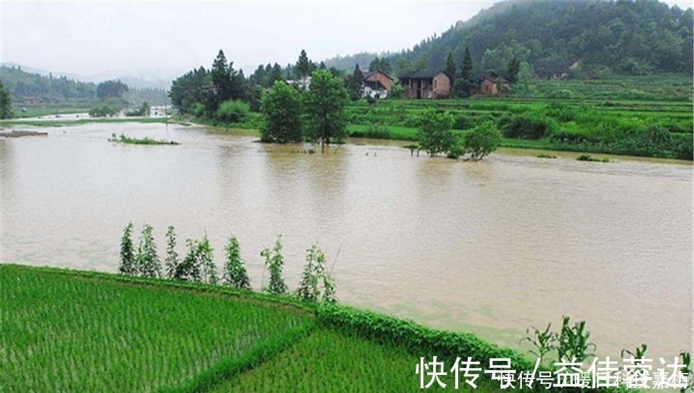 钓鱼技巧:鱼不咬钩有6大原因,技术高也没用,不如趁早收杆