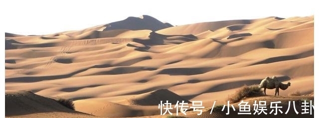 大洪水!一次滔天大洪水,竟然给新疆带来几百年空前繁荣,繁荣还可能再来