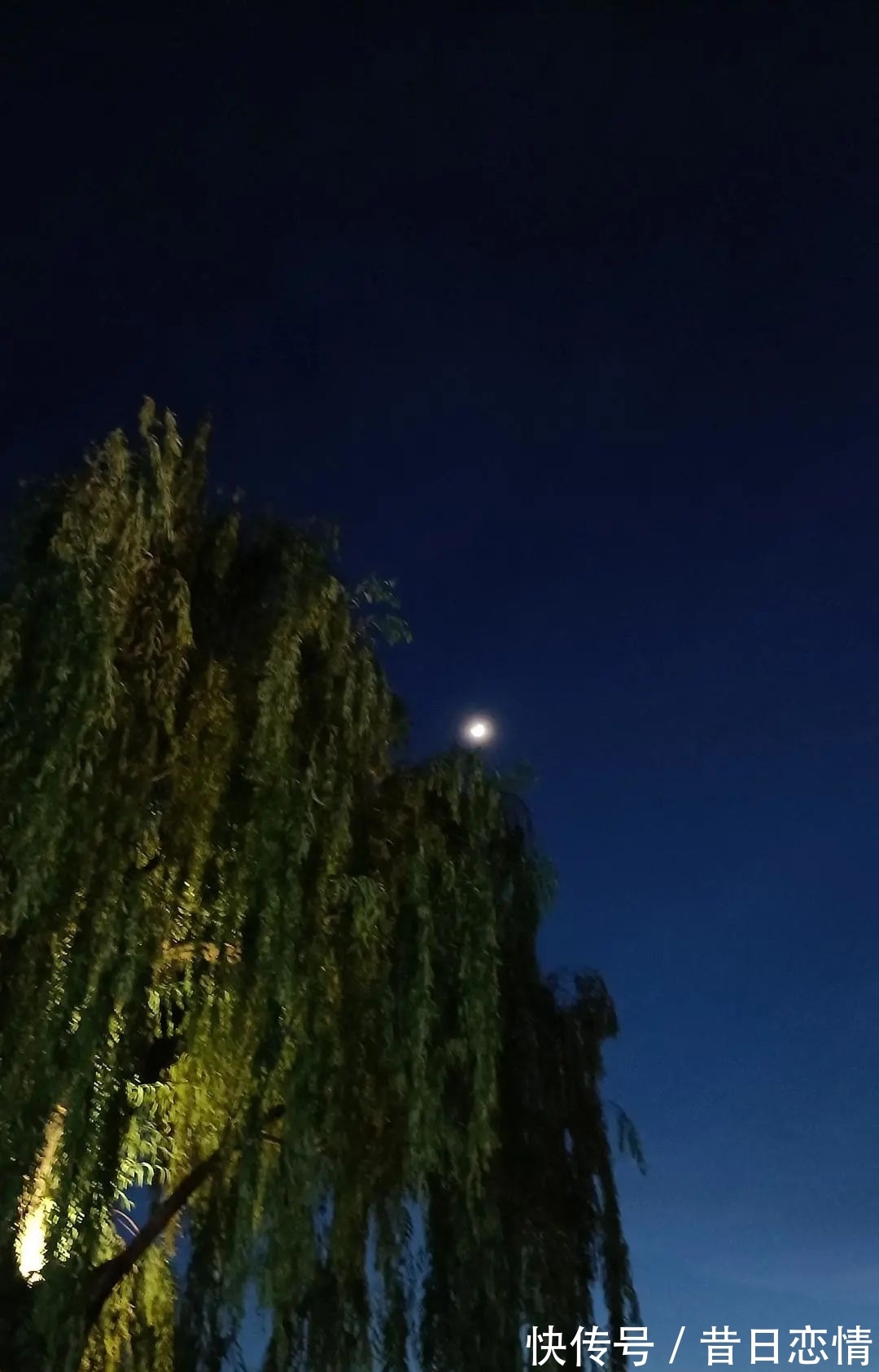 诗句|当年背到头秃的古诗,瞬间读懂了……