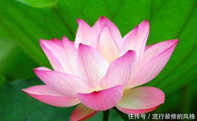 背景|除了没人疼,全身哪都疼,除了没背景,身边都是景