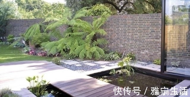 鱼池|有庭院的人都开始造景观鱼池了美哭了,回家也要挖一个