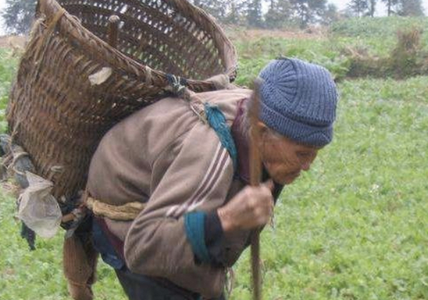 “闰四月,吃树叶”说的什么意思2020年闰四月需要注意什么