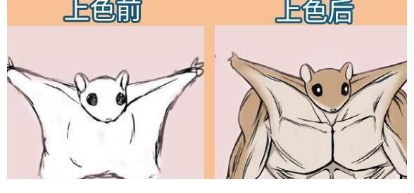 marmot$有一位画手每次画到一半就放弃，当作品被上色之后，瞬间有了灵魂