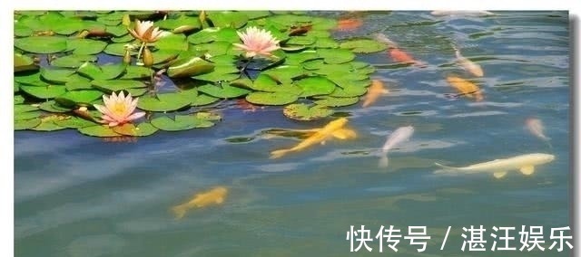 后花园!上联“地中取土,加三点以成池”,囚犯对出下联,免遭一死