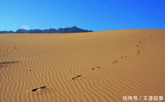 这个沙漠越来越小，现在只剩200亩，成了中国最热门旅游取景点