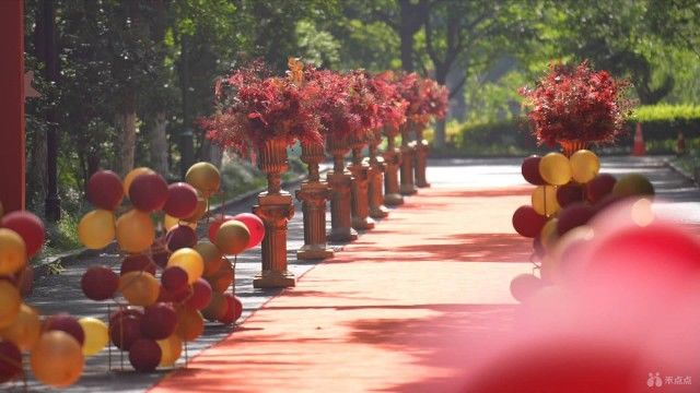 嘉兴一中实验学校|高考首日，嘉兴一中实验建起一条“高考大道”！