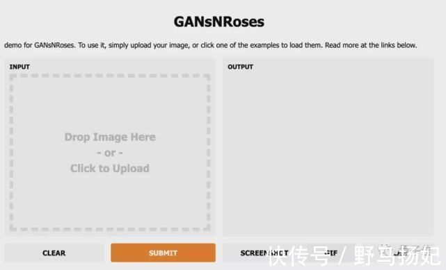 容嬷嬷|华人打造二次元老婆生成器!尔康容嬷嬷成萌妹,图像视频都能变