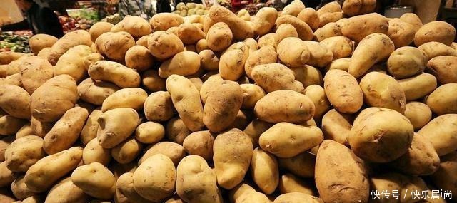 土豆芽能吃吗小贴士教你如何防止他发芽,你可以放心地储存土豆