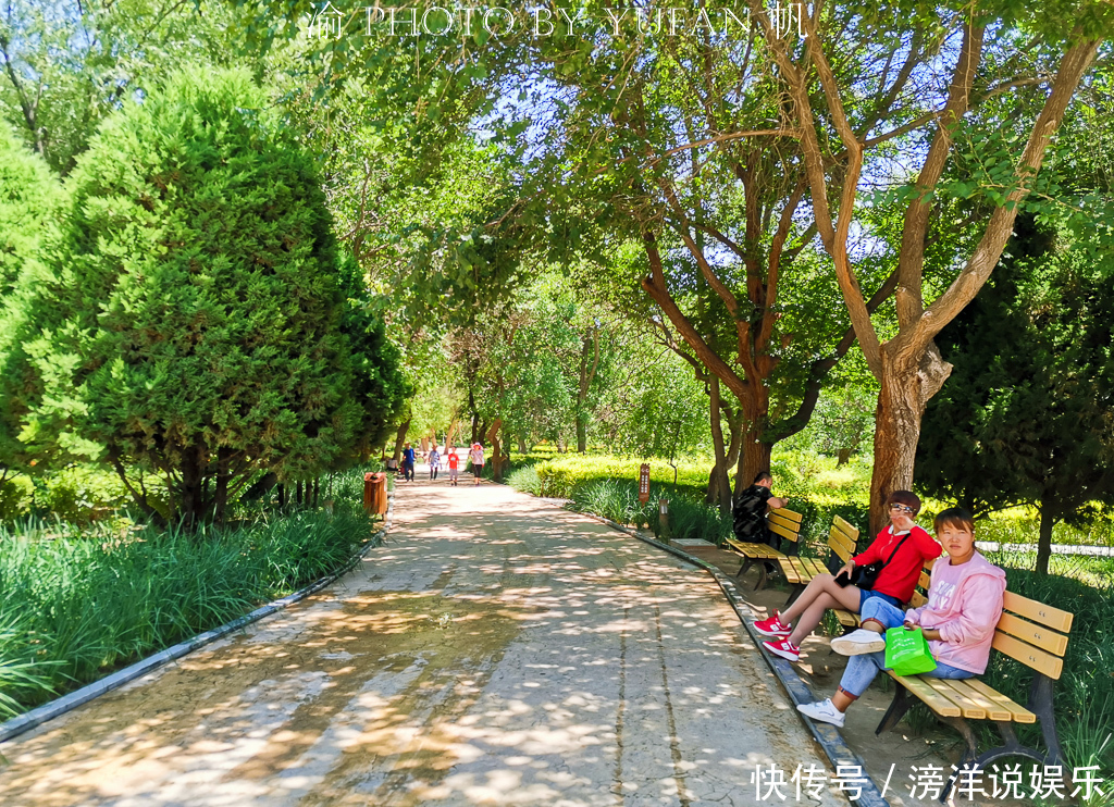 宁夏|宁夏这个景区一半是沙漠一半是黄河，中间还藏着一片世外桃源