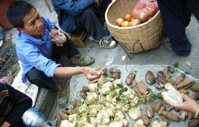 人称“肾果”,是农村娃美味零食,如今野生不多,30元一斤