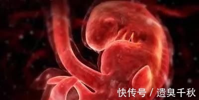 皱缩状|一组图记录怀胎十月,胎儿发育全过程,看完后,感叹生命神奇